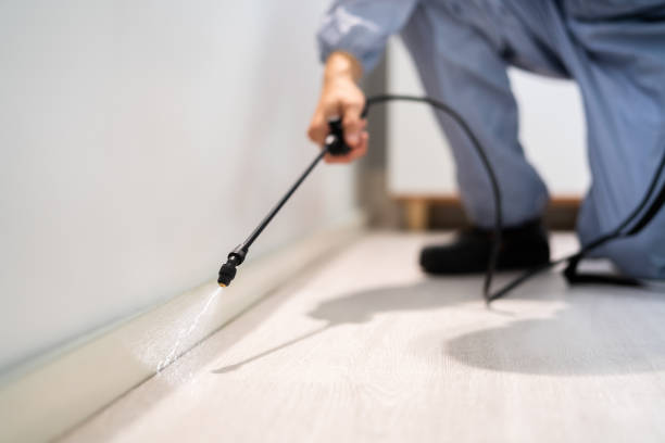 Licensed Cockroach Control service in Le Roy, IL - Nex Pest Control