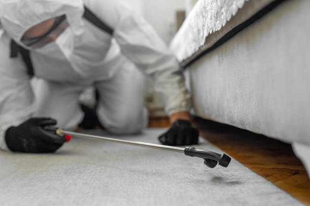 Professional Cockroach Control technician working in Le Roy, IL