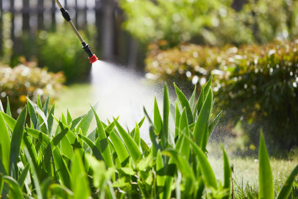 24/7 Emergency Cockroach Control experts in Le Roy, IL