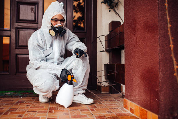 Reliable Cockroach Control contractor in Le Roy, IL by Nex Pest Control