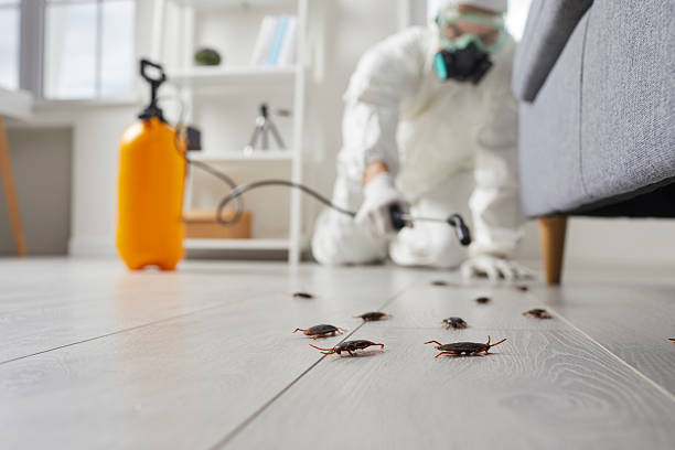 Affordable Cockroach Control solutions in Le Roy, IL