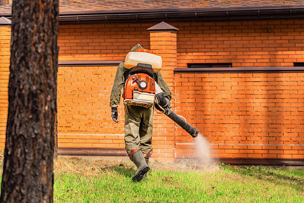 Top rated local Cockroach Control specialists in Le Roy, IL